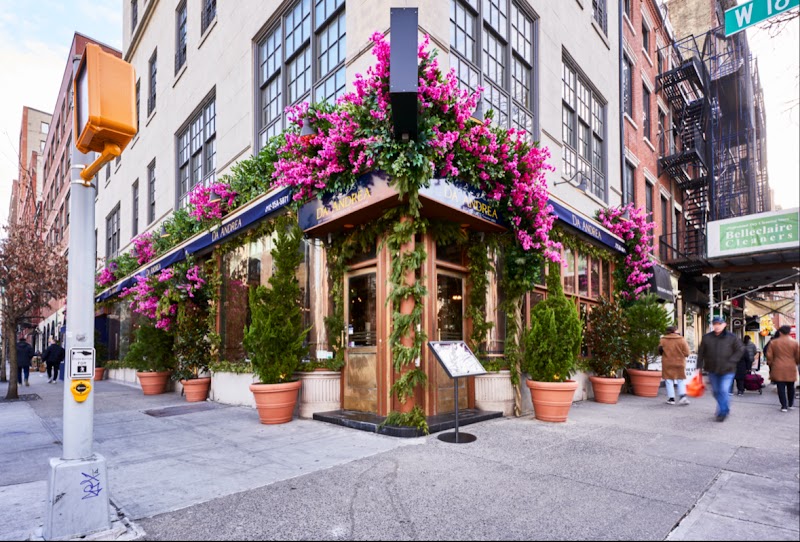 Food and interior photo 5 at Da Andrea Chelsea in New York