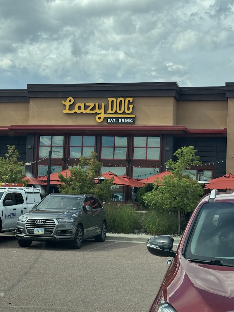 Lazy Dog Restaurant & Bar in Colorado Springs