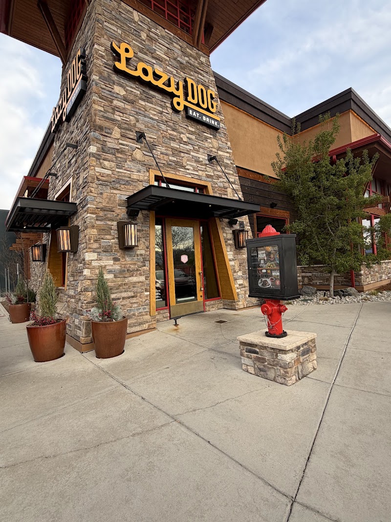 Lazy Dog Restaurant & Bar in Colorado Springs