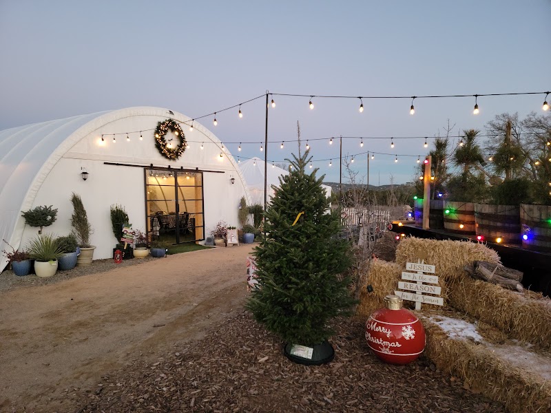 Food and interior photo 3 at Lantern Ridge Farm Market And Nursery in Sandia Park