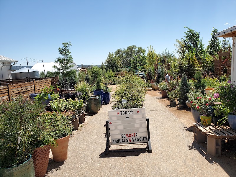 Food and interior photo 4 at Lantern Ridge Farm Market And Nursery in Sandia Park
