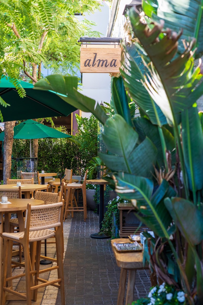 Alma in Los Angeles