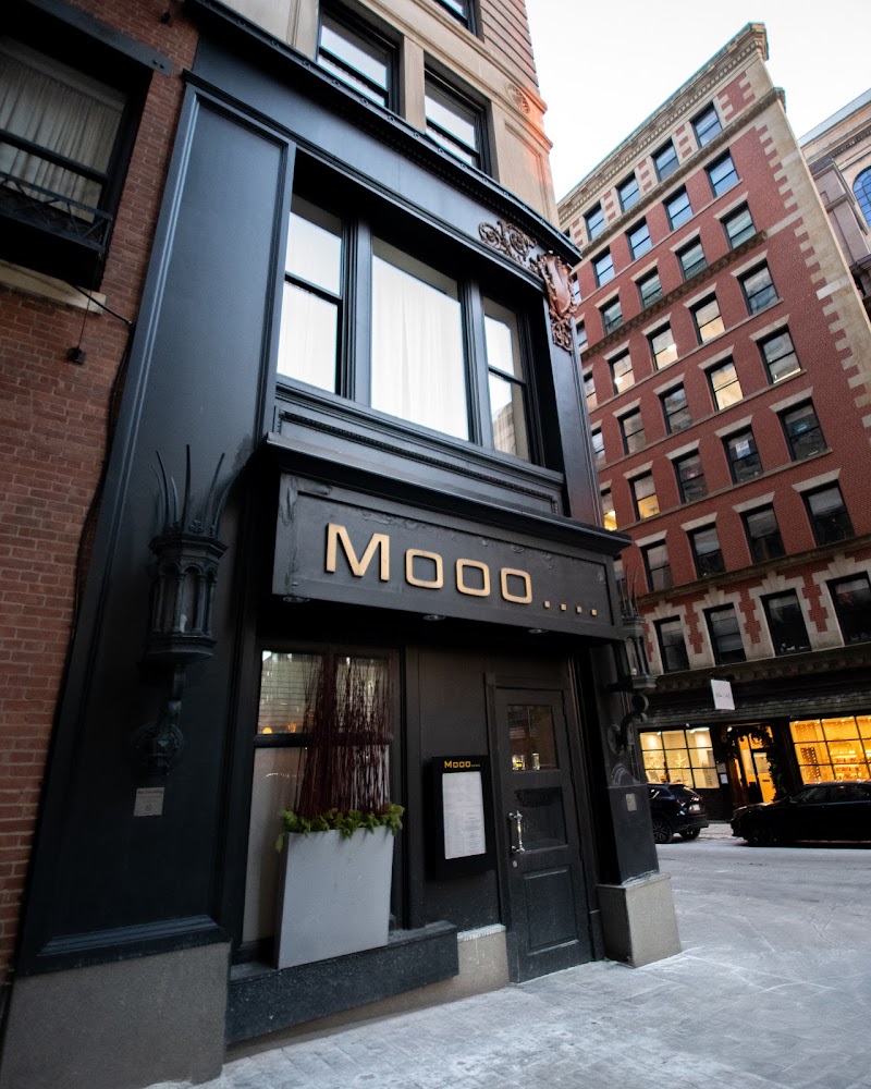 Mooo.... Beacon Hill in Boston