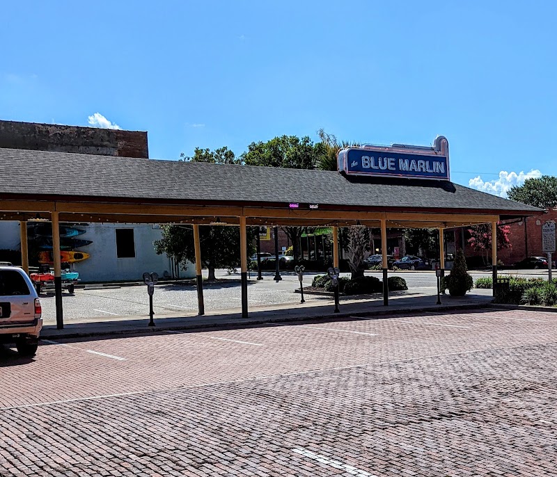 Blue Marlin in Columbia