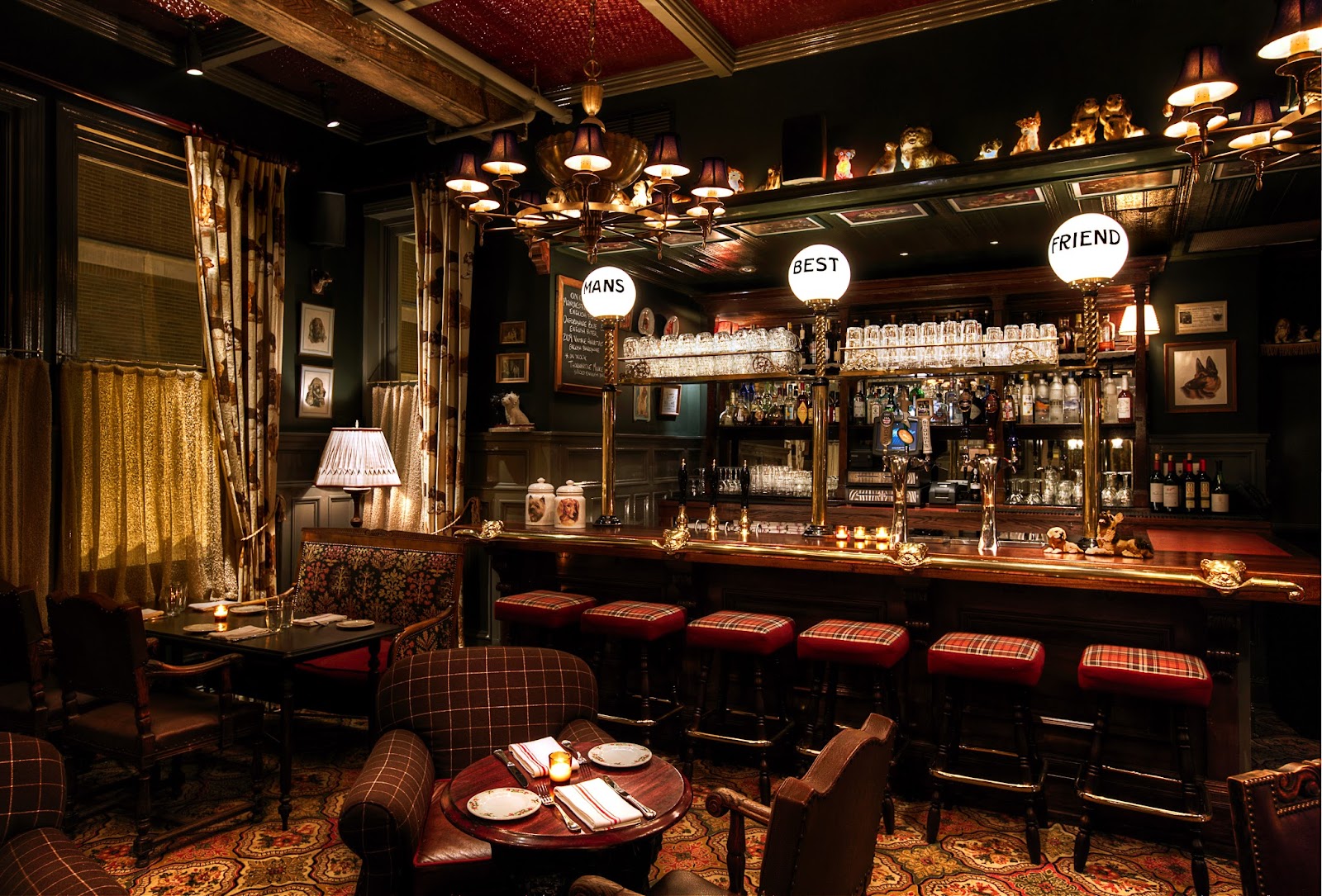 The Dandelion in Philadelphia