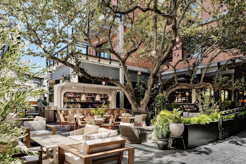 Food and interior photo 5 at Aba Austin in Austin
