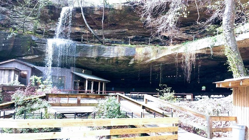 Food and interior photo 2 at Rattlesnake Saloon in Tuscumbia