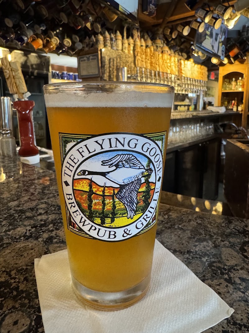 Food and interior photo 3 at Flying Goose Brew Pub in New London