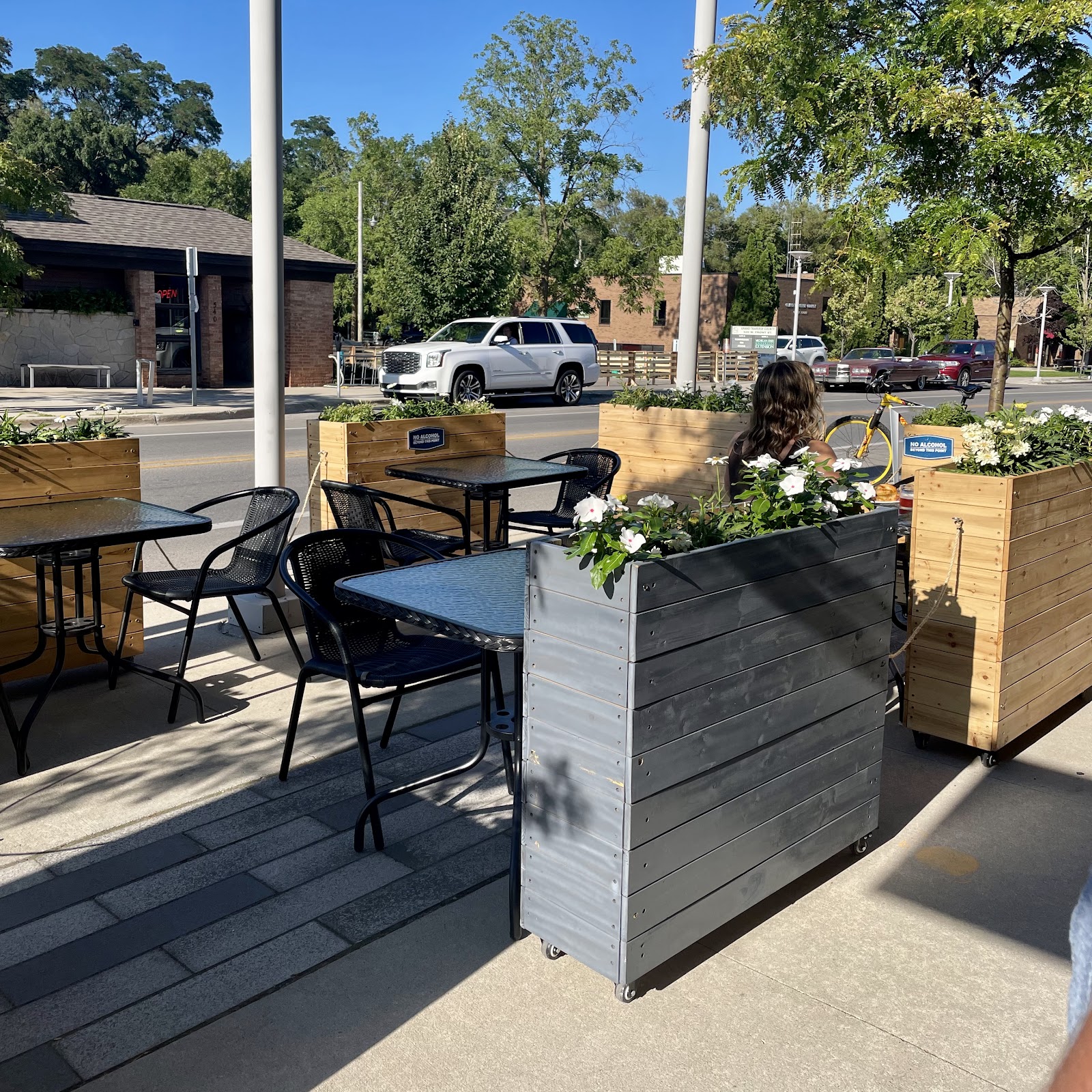 Modern Bird in Traverse City