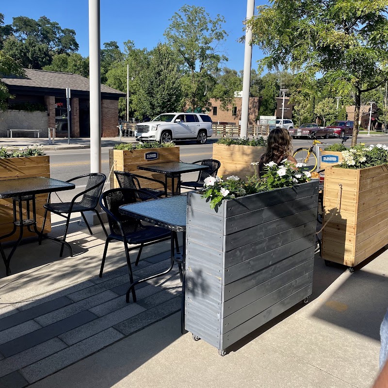 Modern Bird in Traverse City