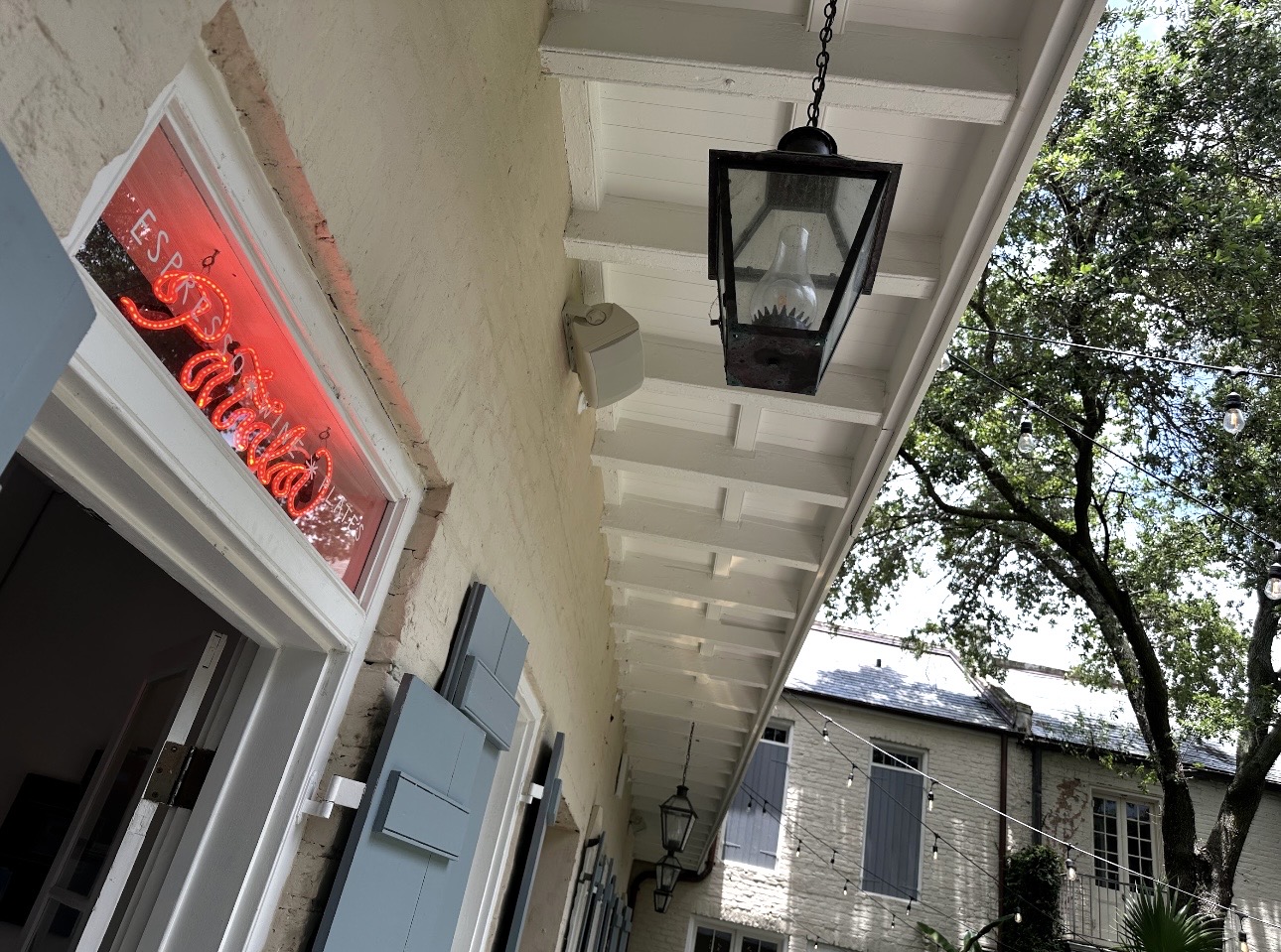 Patula in New Orleans