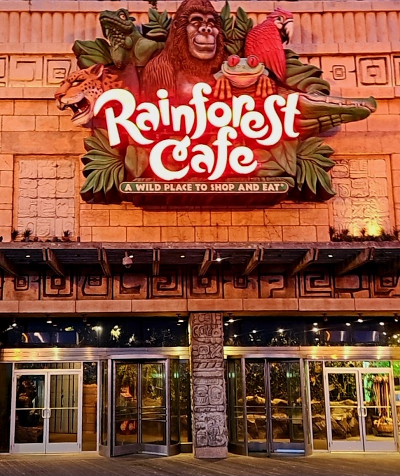 Food and interior photo 2 at Rainforest Cafe in Atlantic City