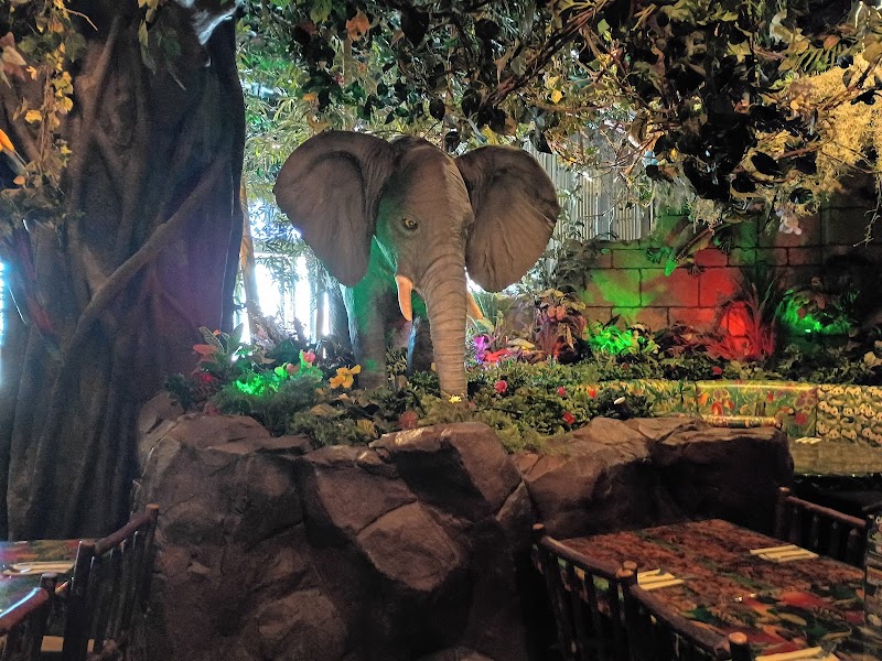 Food and interior photo 5 at Rainforest Cafe in Atlantic City