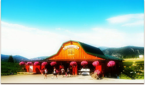 Food and interior photo 2 at Blueberry Hills Farm in Manson
