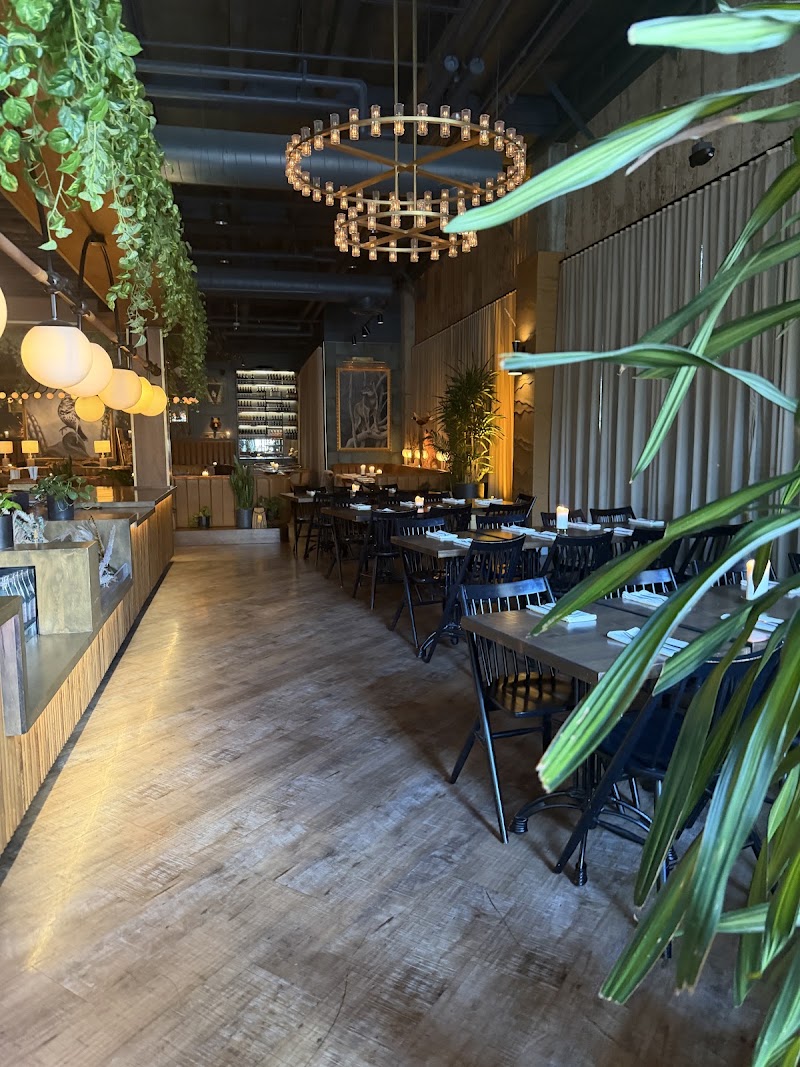Food and interior photo 1 at Wren & Wolf in Phoenix