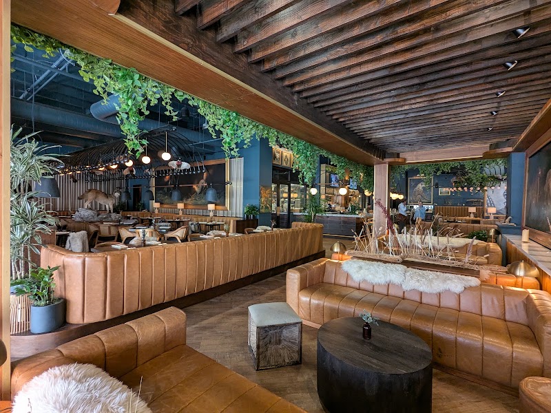 Food and interior photo 5 at Wren & Wolf in Phoenix