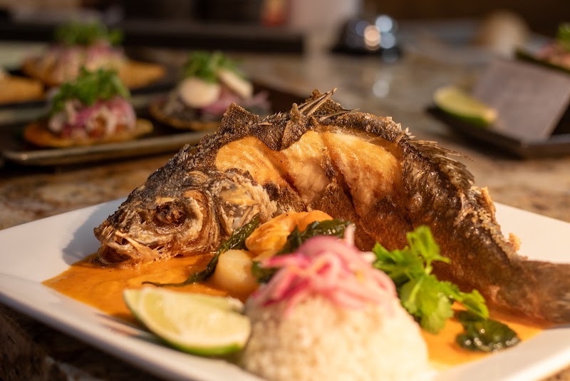 Food and interior photo 1 at Cantina Los Mayas in San Francisco