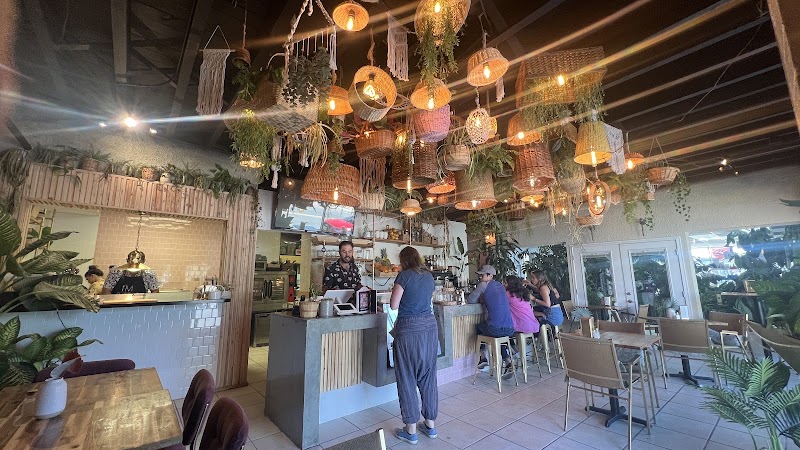 Palmeira tropical fusion in Anchorage