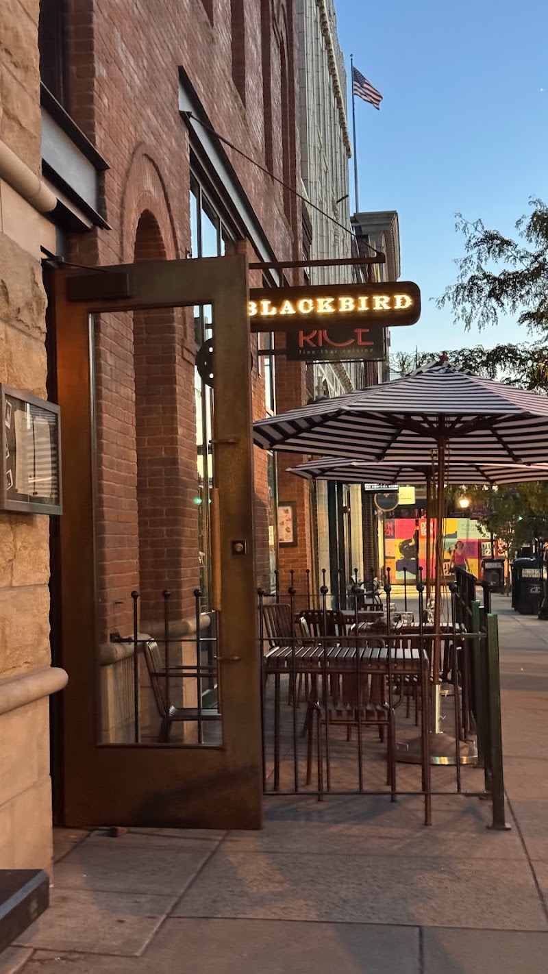 Food and interior photo 4 at Blackbird in Bozeman