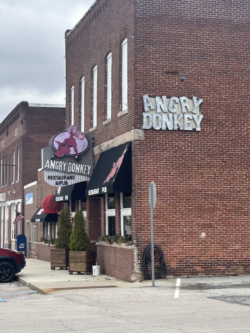 Food and interior photo 3 at Angry Donkey in Michigantown