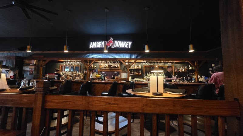 Food and interior photo 2 at Angry Donkey in Michigantown