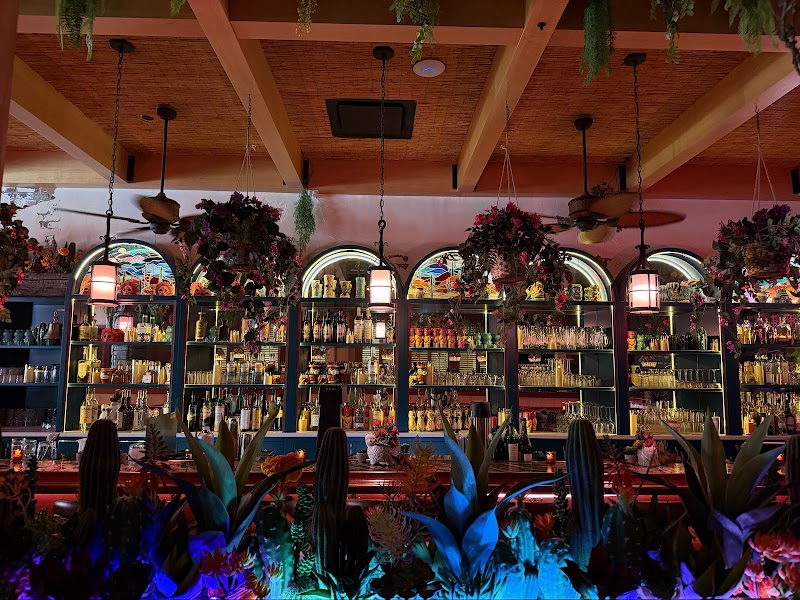 Food and interior photo 4 at Gato Exotico in Cambridge