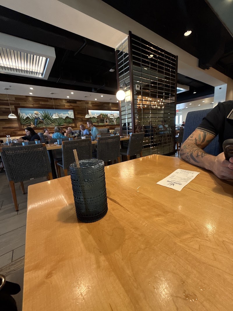 Food and interior photo 4 at Agave Azul Kirkman in Orlando