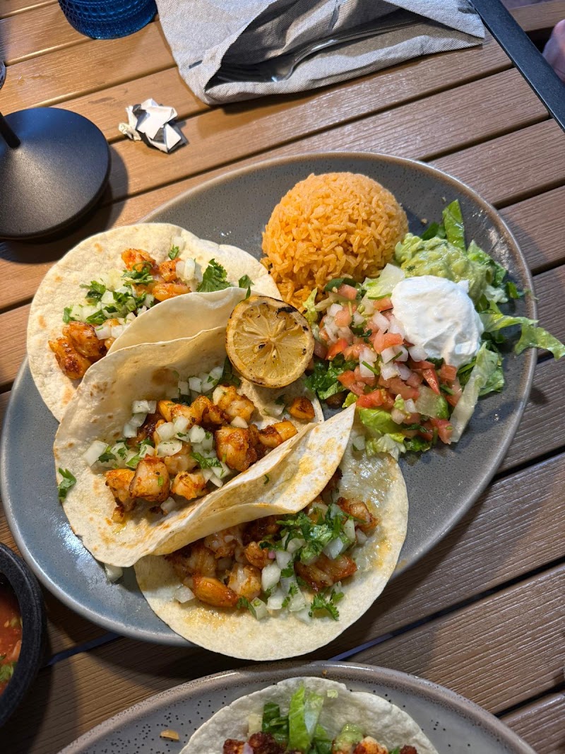 Food and interior photo 3 at Agave Azul Kirkman in Orlando