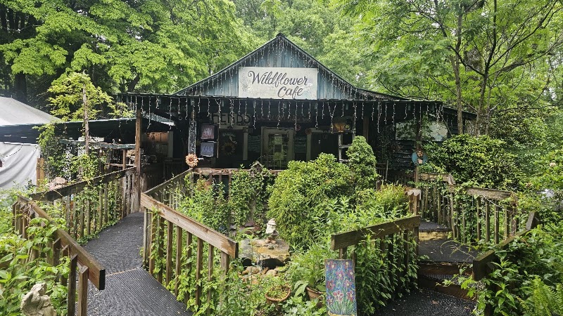 Food and interior photo 5 at Wildflower Cafe in Mentone