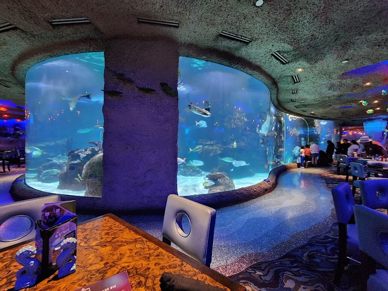 Food and interior photo 5 at Aquarium Restaurant in Nashville
