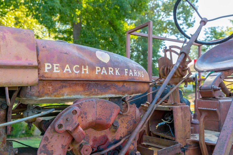 Food and interior photo 1 at Peach Park in Clanton