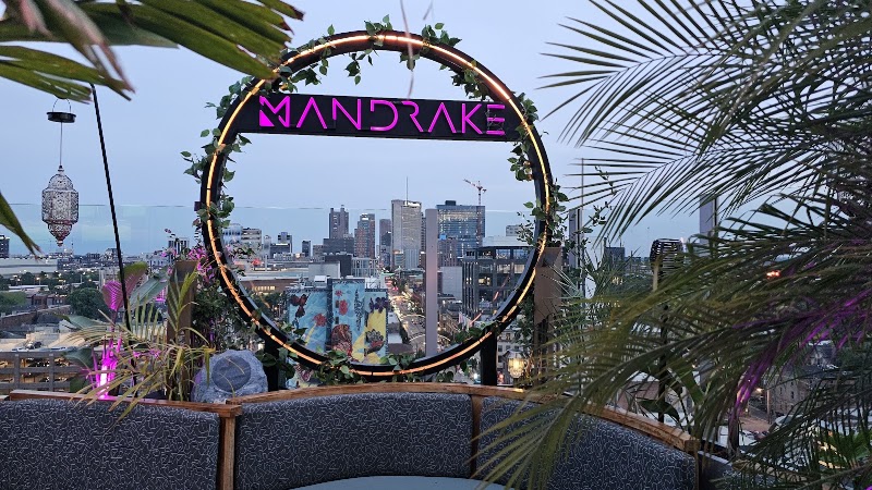 Food and interior photo 5 at Mandrake Rooftop in Columbus