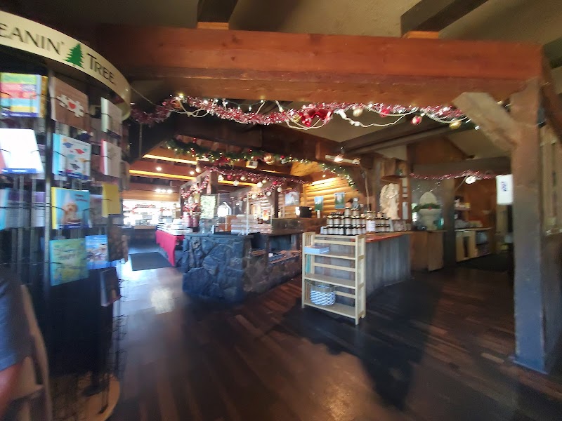 Food and interior photo 4 at Heaven On Earth Restaurant in Azalea