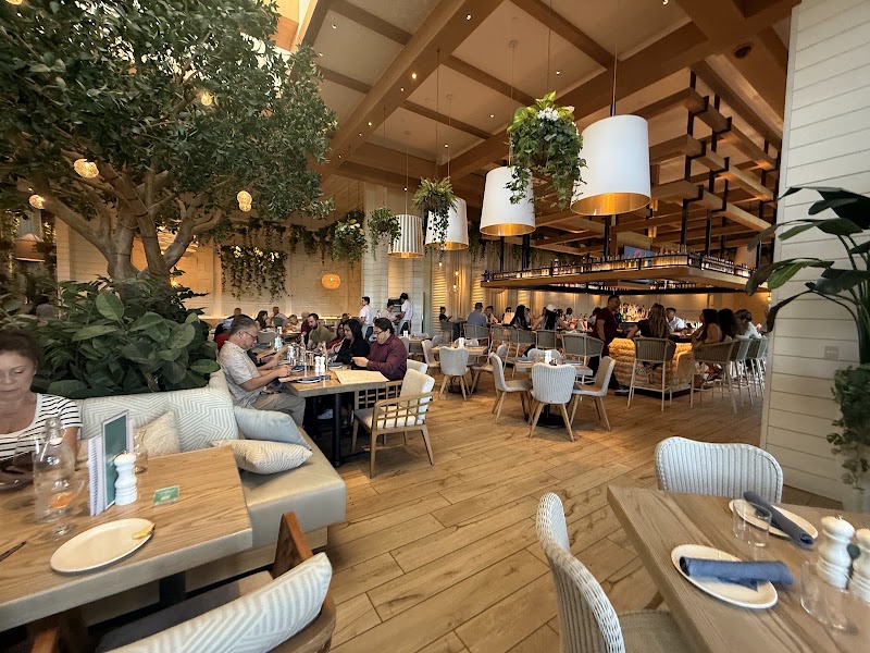 Food and interior photo 5 at Summer House in Las Vegas