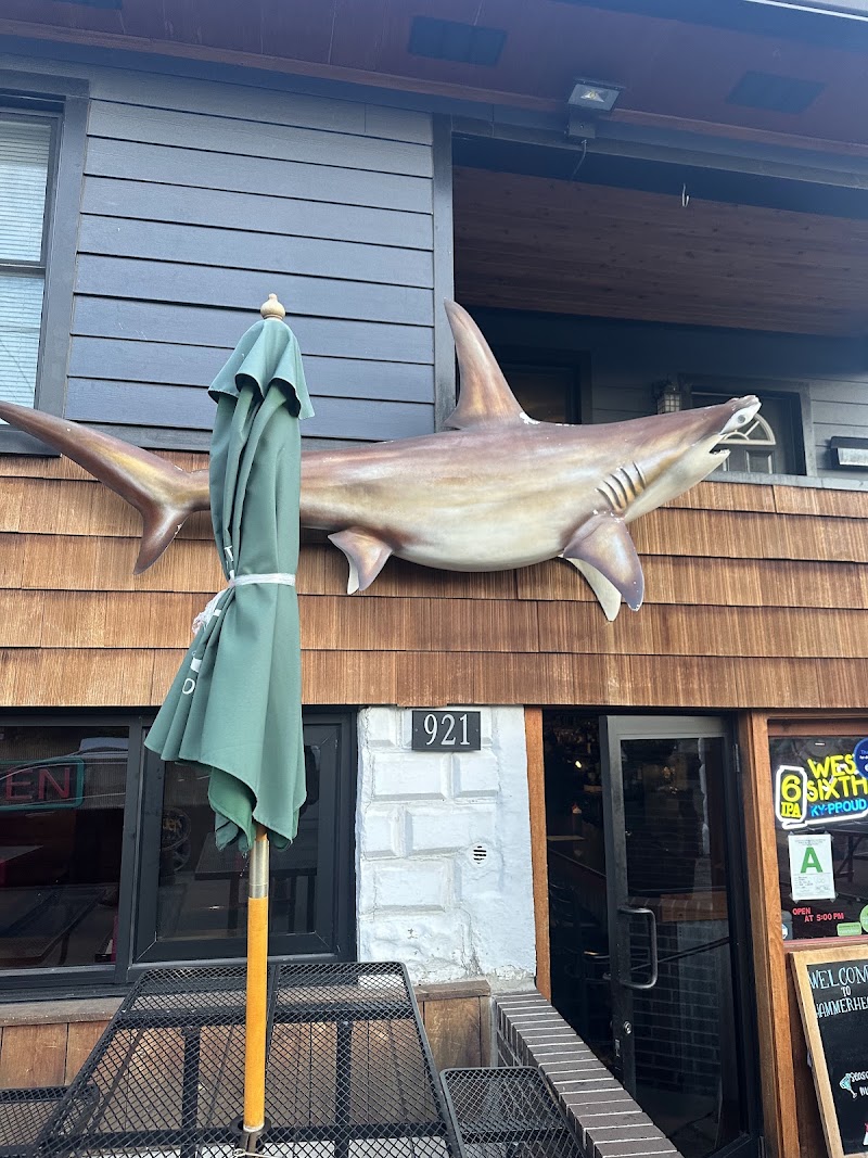 Hammerheads in Louisville
