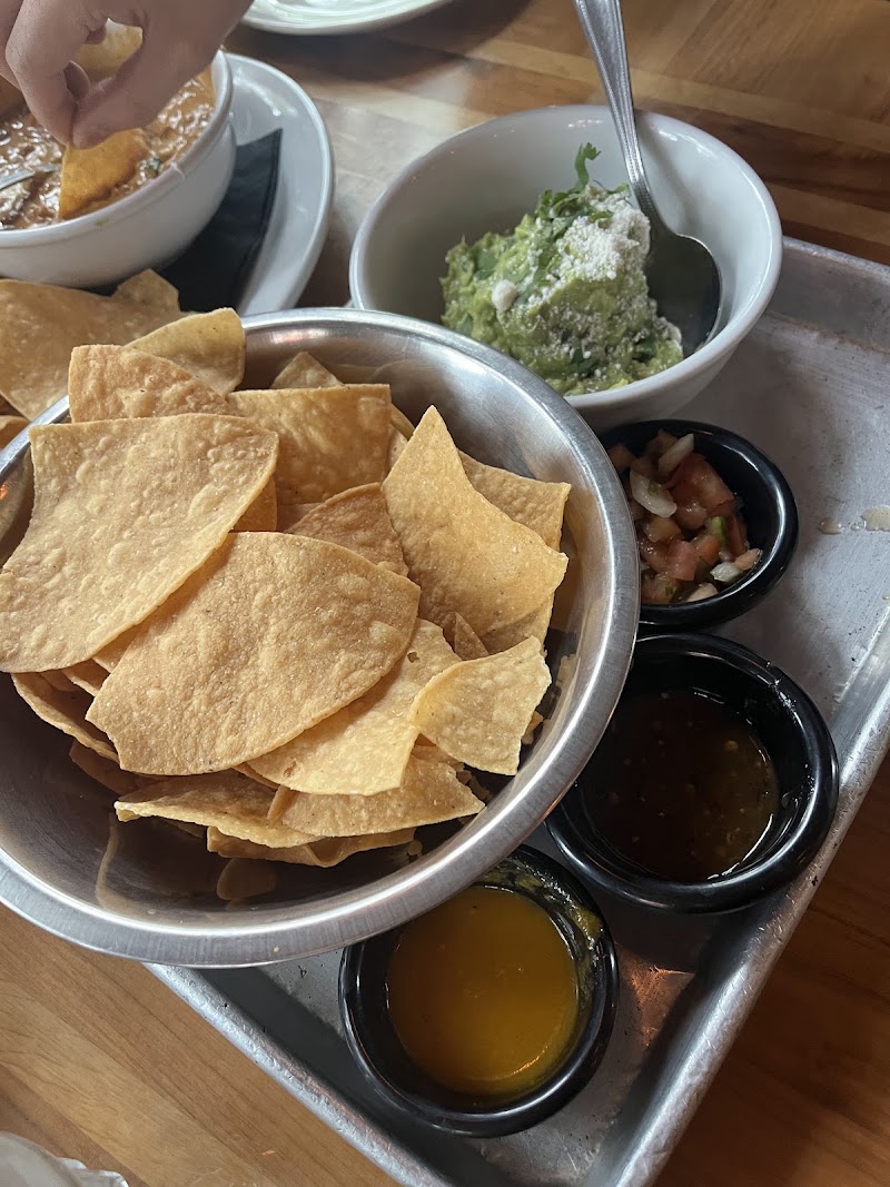 Food and interior photo 3 at Gallo Blanco in Phoenix