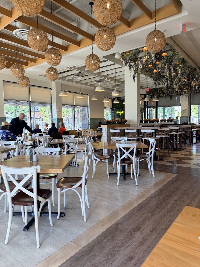 Food and interior photo 5 at Tupelo Honey Southern Kitchen & Bar in Indianapolis