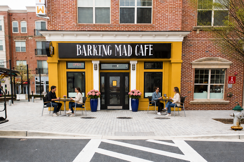 Barking Mad in Gaithersburg