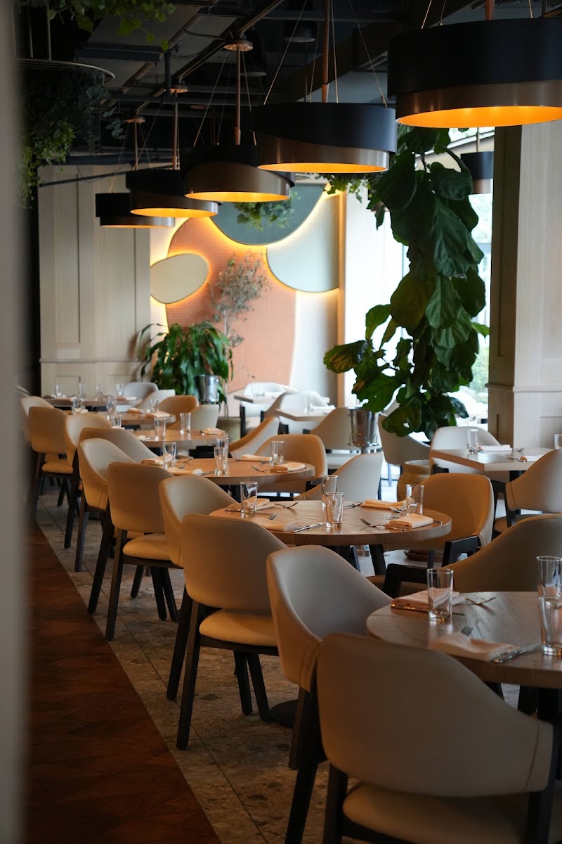 Food and interior photo 4 at Marsanne in New York