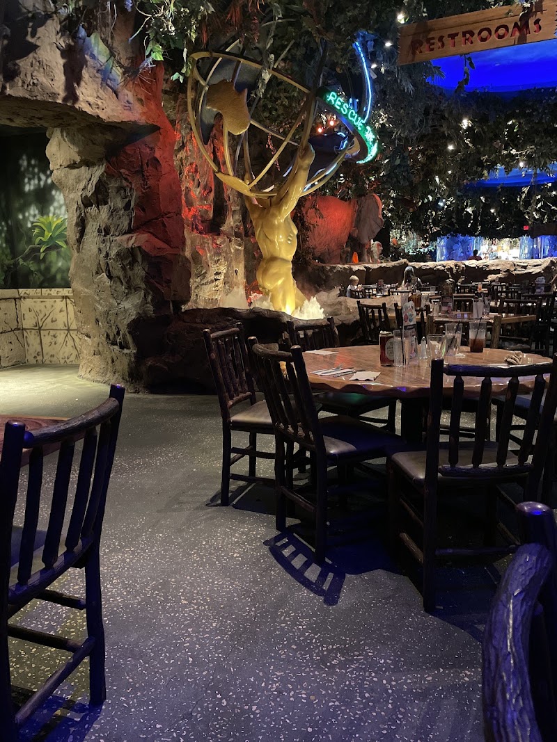Food and interior photo 1 at Rainforest Cafe in Lake Buena Vista
