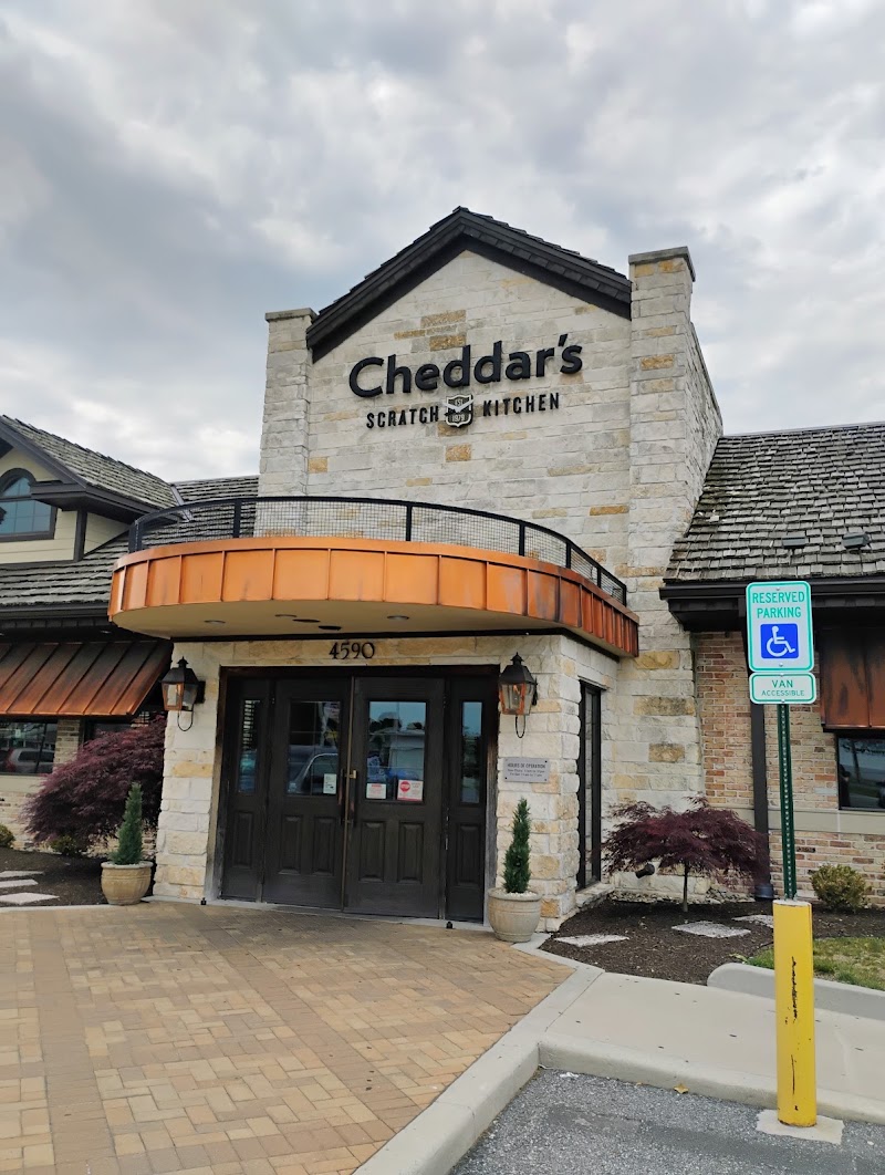 Cheddar's Scratch Kitchen in Camden